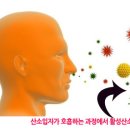 한국산소 이미지