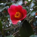 여수동초등학교 이미지