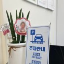 [아르제헤어 옥정점]단백질 헤어클리닉 잘하는 양주 옥정 미용실