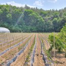 귀촌공인중개사사무소 이미지