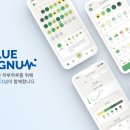 블루헬스케어