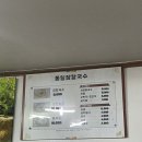 장언니손만두 이미지