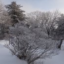 화음(화엄사~음정마을)산행 추버서 사진도 몇 장 못 찍고... 이미지