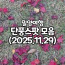 (주) 암새들