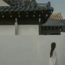 스테이자하 이미지