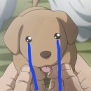 대전 당일치기를 하려면 배때지의 용량이 100L는 되어야하고 체력은 삼손이 되어야 하매.