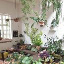 그린홈인테리어 이미지