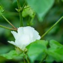 청솔농원 이미지