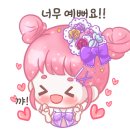 거제애견 이미지