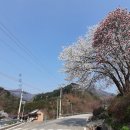 서울-두서-두서04 이미지