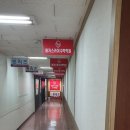 둥글이태권도 이미지