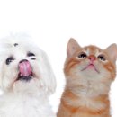 베이지동물병원 이미지