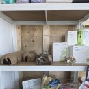 메다카린 이미지