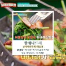 삼겹살 + 미나리소주 조합? 남겨서 뭐하게 청도 한재나드리 삼겹살 보양 풀코스