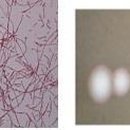 아시아모텔 이미지