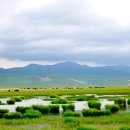 푸른초원 이미지