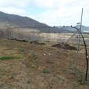 도열농장 이미지