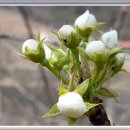 영산홍민박 이미지