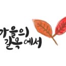 비아5일시장 이미지