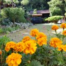 풍수원민박 | 횡성 1박2일펜션 최고의 힐링 민박