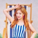 행행행 이미지