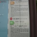 정동진역(버스정류장) 이미지