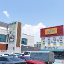 강화도 피자 배달 맛집 반올림피자 강화길상점 포장 후기