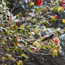 옥룡사지 이미지