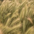 영화클럽 이미지