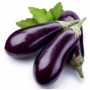 양성한의원 이미지