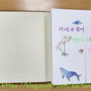 폴드폴드 이미지