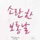 소란한보통날