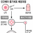 샤마리 이미지