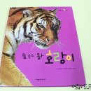 숲속의땅