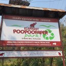 푸푸(POOPOO) 이미지