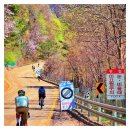 서라벌여행사