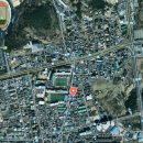 밀성여자중학교, 밀성제일고등학교 이미지