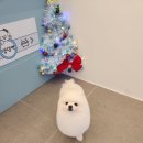 포도미용실 - 양평군 | 포도미용실