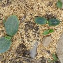 구억농장 이미지