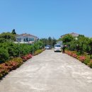 체리 민박 이미지