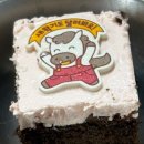 병설 | 유아교육과 교육봉사 후기｜병설유치원 2주 리얼 경험 (만4세반 일6시간 꿀팁 총정리)