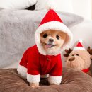 펫하우스 이미지