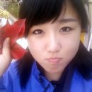 혼다모터싸이클