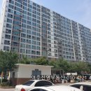 영진아파트 앞 2 이미지