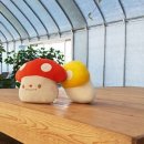 이인농장 이미지