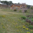 진경원민박캠핑장 이미지