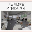 케이지모빌리티 상주서비스프라자 | 배곧 애견호텔 24시 상주 / 시설도 사장님도 너무 좋은 라레랑 5박 내돈내산 후기