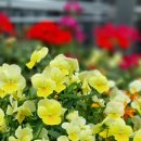 수원지방법원 성남지원 등기소 이미지