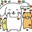 칼순이 이미지