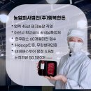돈.우 정육점 | 한우2등급등심, 같은 2등급인데 맛 차이 나는 이유-행복한돈정육점